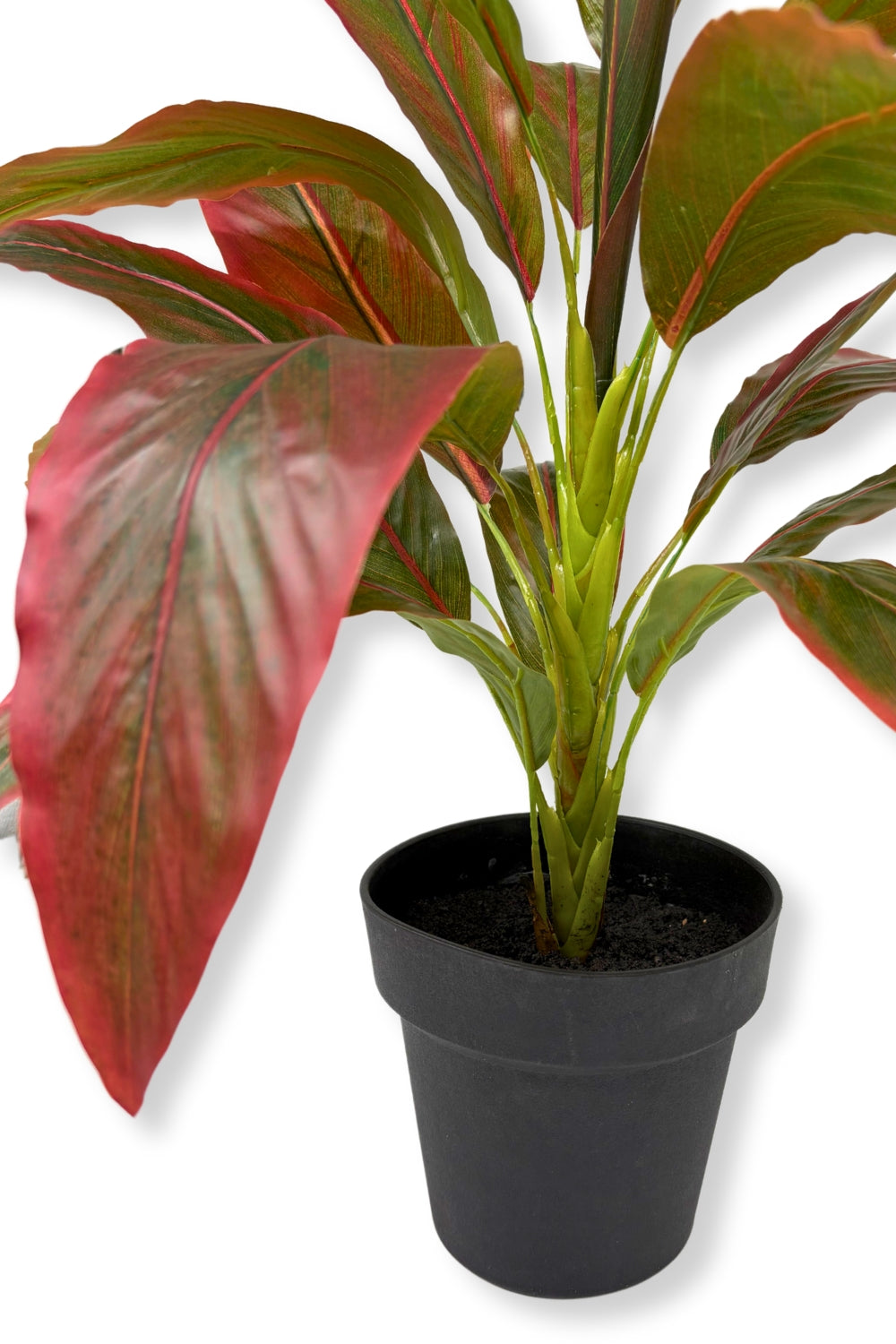 Plante artificielle Clématite 50 cm