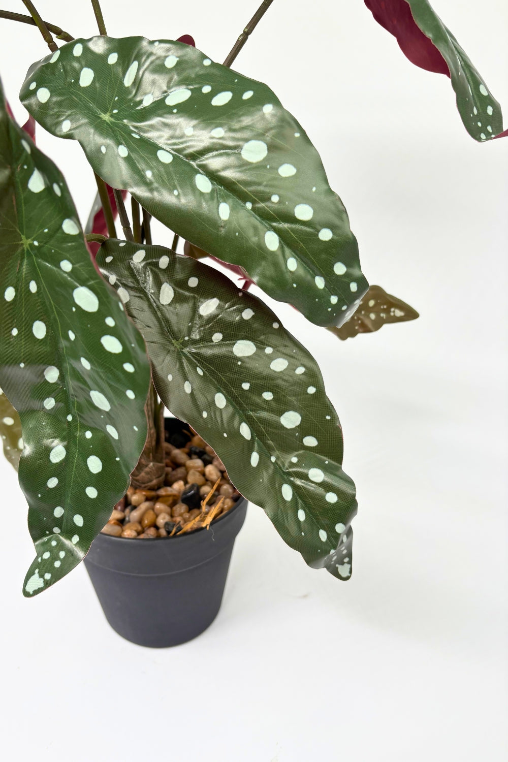 Plante artificielle Bégonia Maculata 55 cm