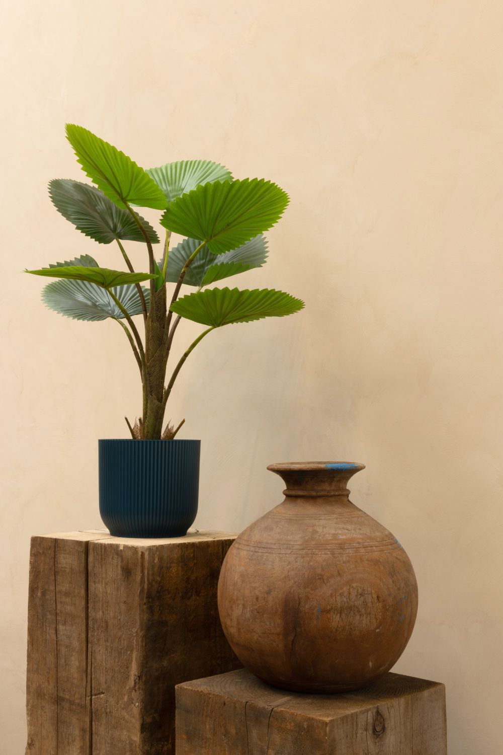 Photo d’ambiance du Palmier Éventail Artificiel 75cm