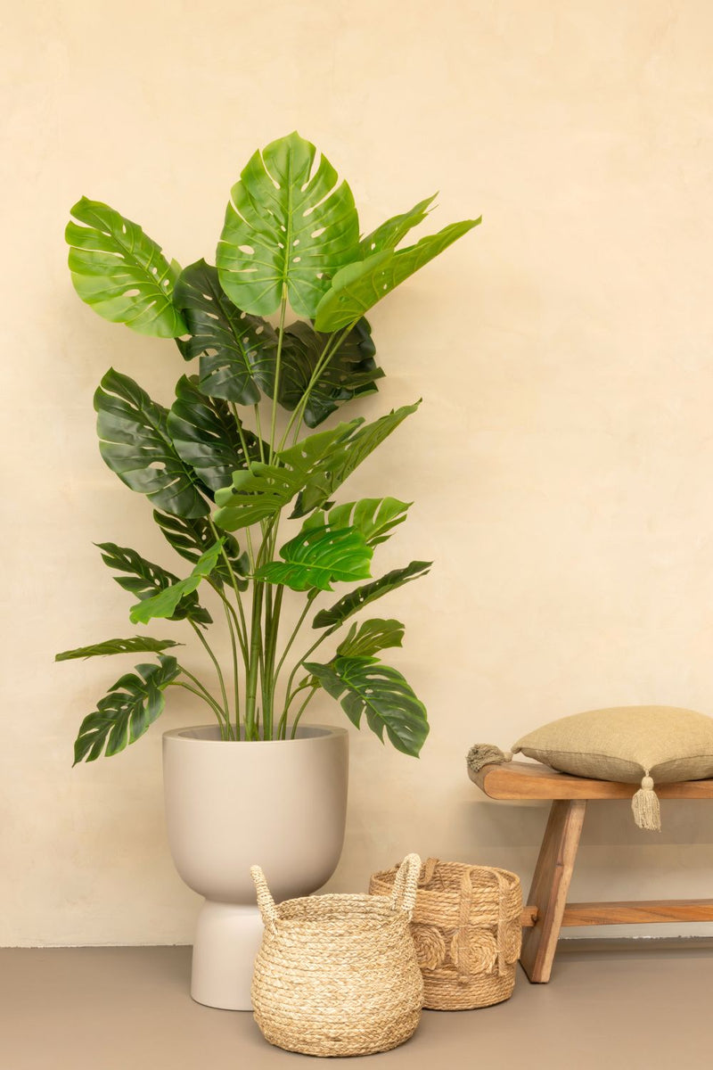 Photo d’ambiance de la Monstera Artificielle 165cm
