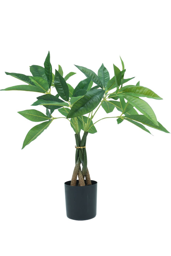 Plante artificielle Pachira 45 cm