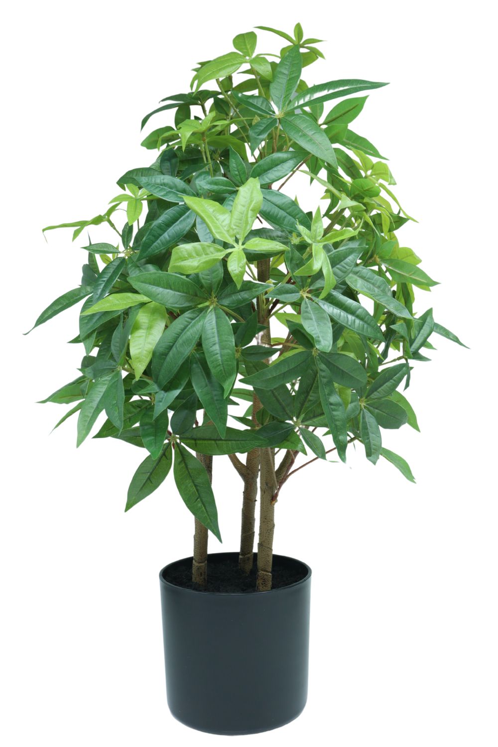 Plante Artificielle Pachira 70 cm