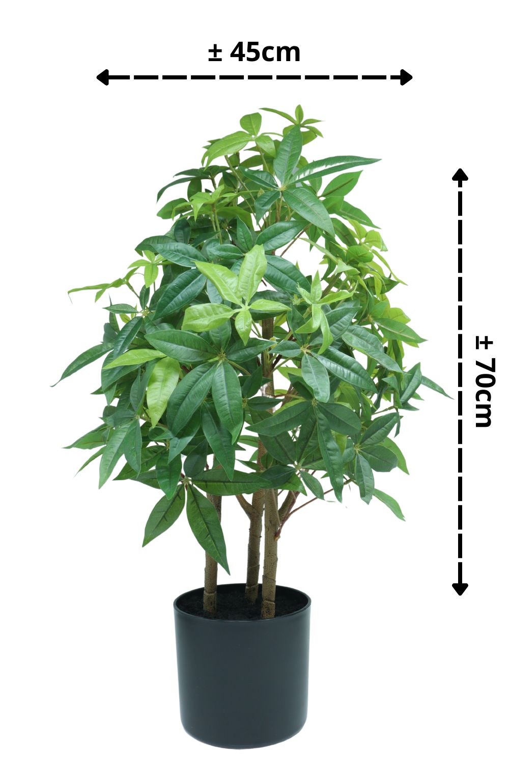 Plante Artificielle Pachira 70 cm