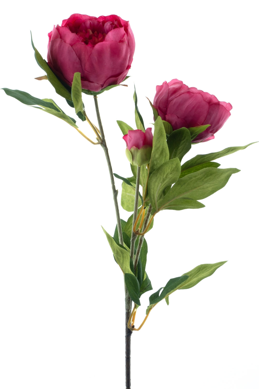 Pivoine Fleur Artificielle 65cm Fuchsia
