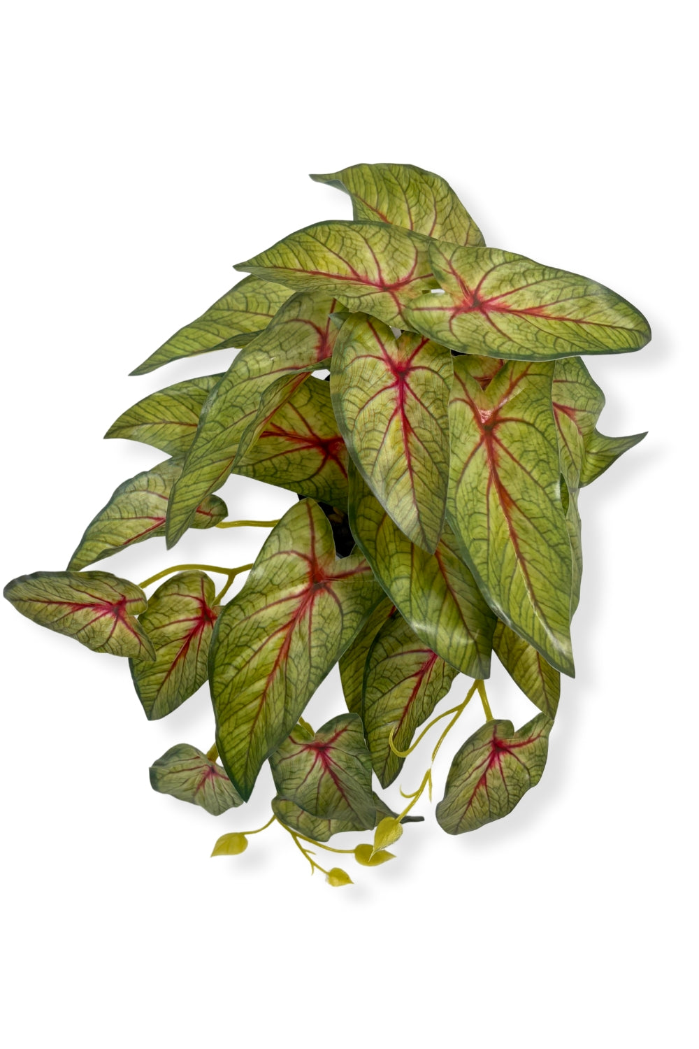 Plante artificielle Caladium 17 cm