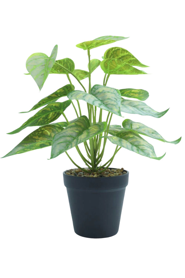 Plante artificielle Caladium 32 cm
