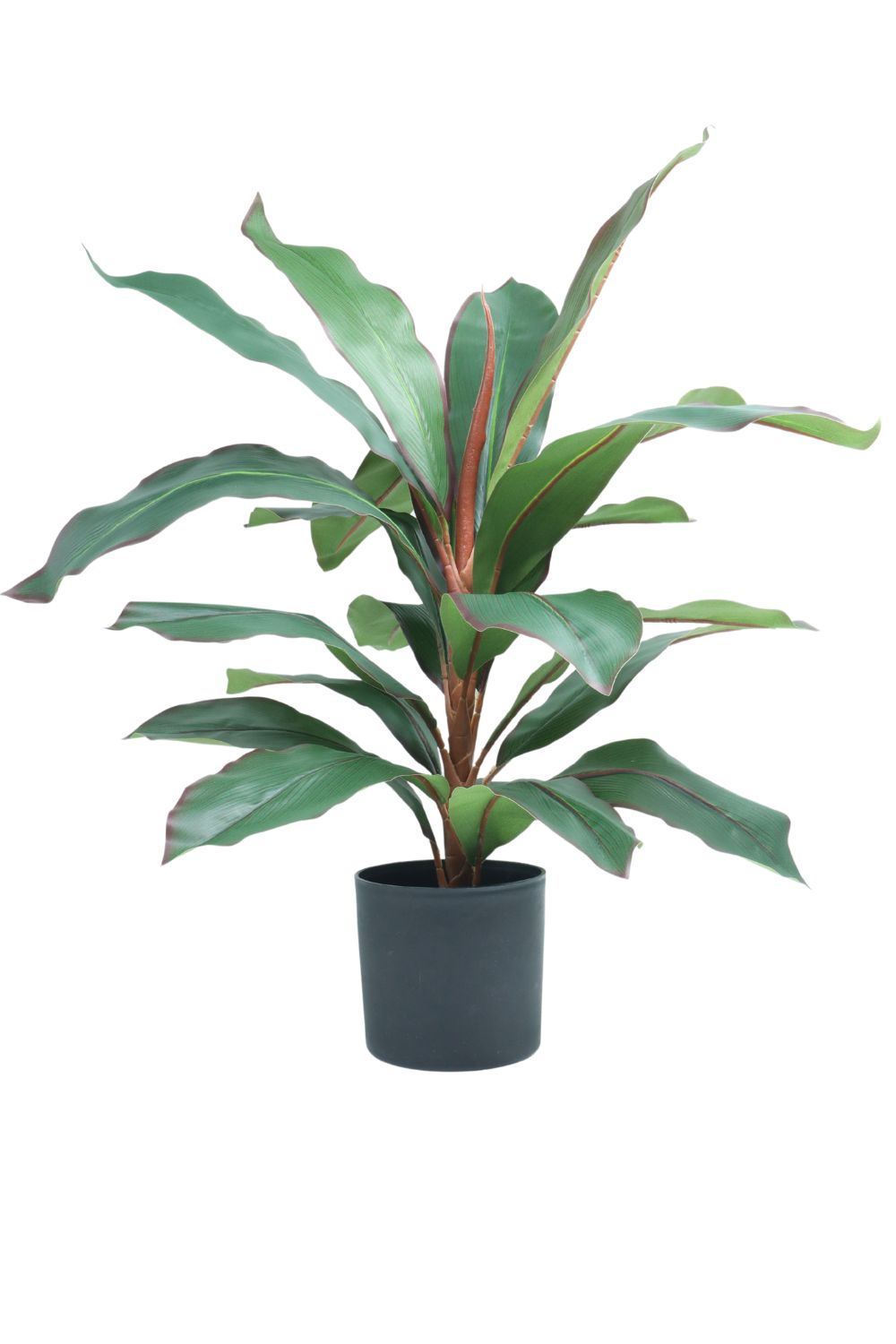 Plante artificielle Dracaena 60 cm
