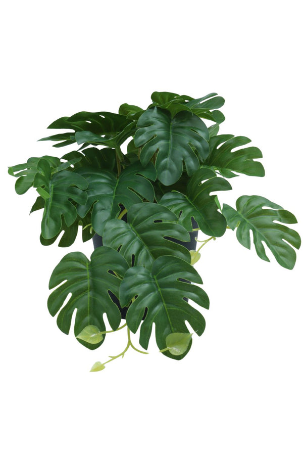 Plante artificielle Monstera 17 cm - prettyplants
