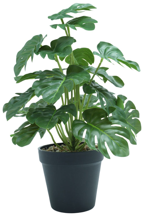 Plante artificielle Monstera 32 cm - prettyplants