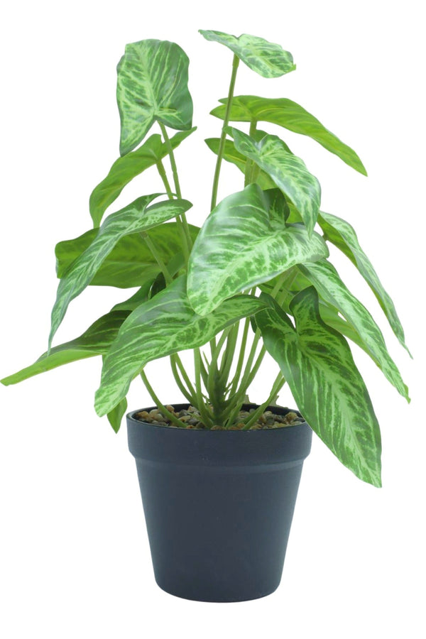 Plante artificielle Philodendron 32 cm - prettyplants