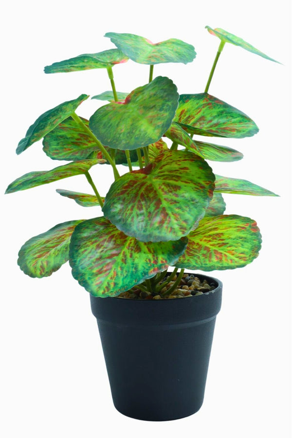 Plante artificielle Taro 32 cm