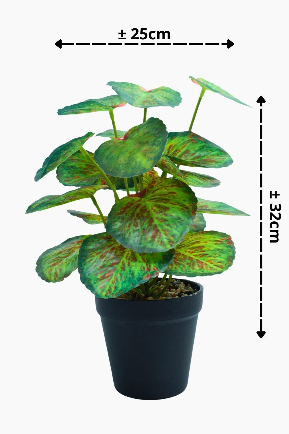 Plante artificielle Taro 32 cm