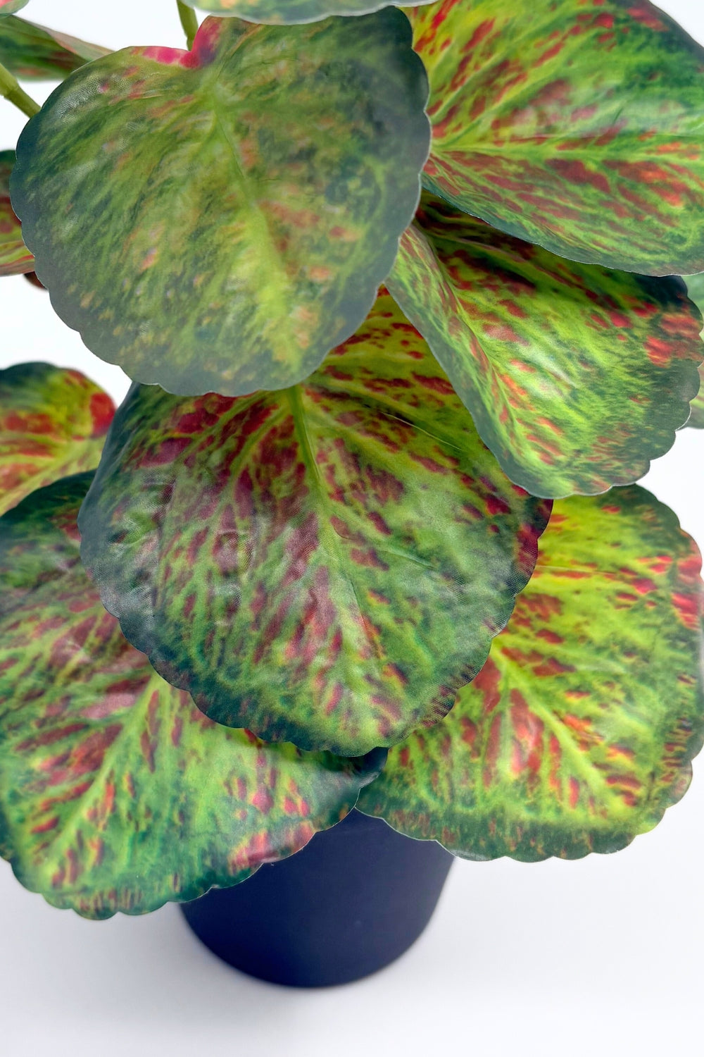 Plante artificielle Taro 32 cm