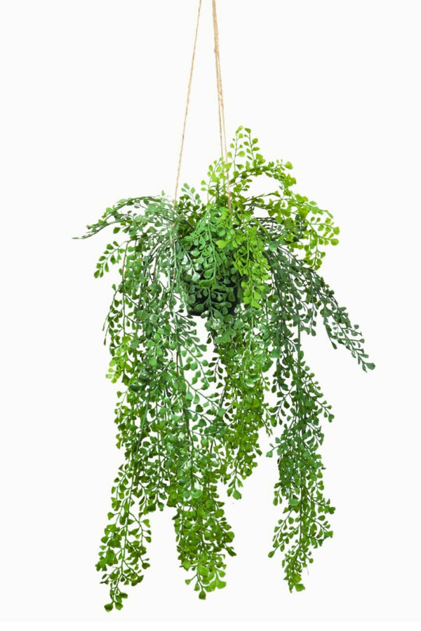 Plante artificielle suspendue Adiantum 110 cm