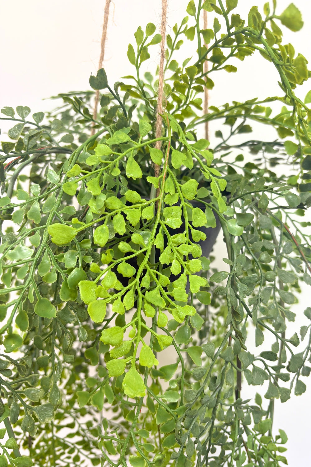 Plante artificielle suspendue Adiantum 110 cm