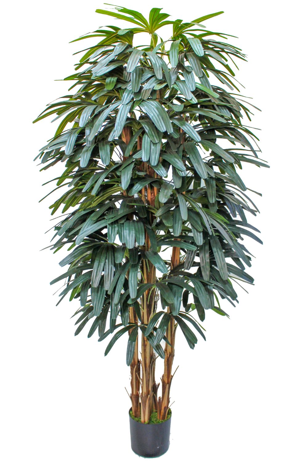 Raphis palmier artificiel 180 cm