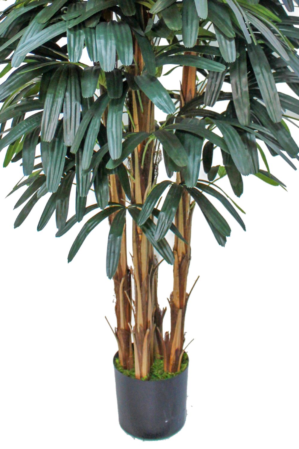 Raphis palmier artificiel 180 cm