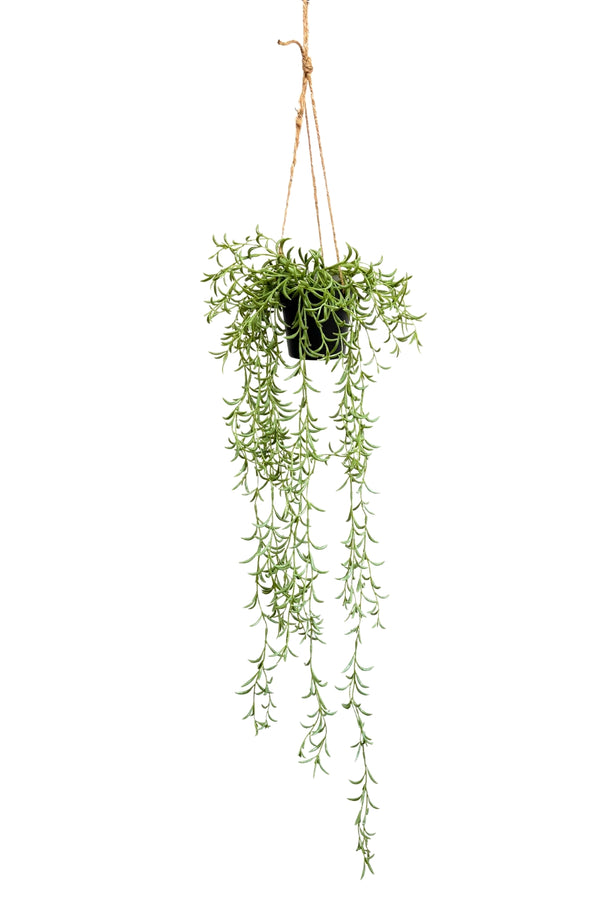 Plante artificielle suspendue Romarin 70 cm