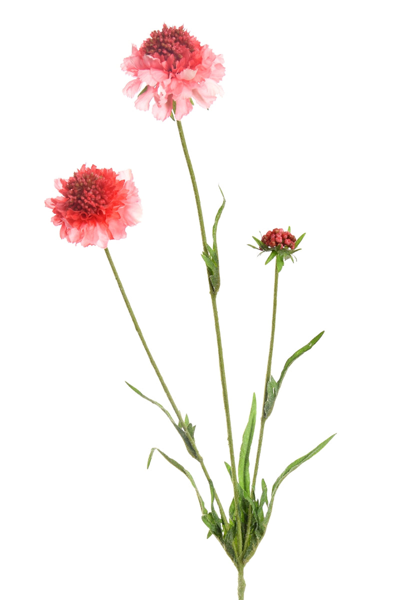 Scabiosa fleur artificielle 66cm Rose