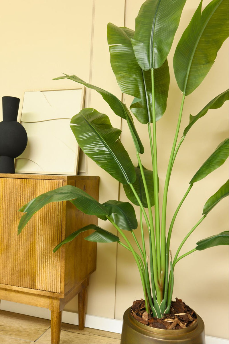 Détails du Strelitzia Artificielle 165cm