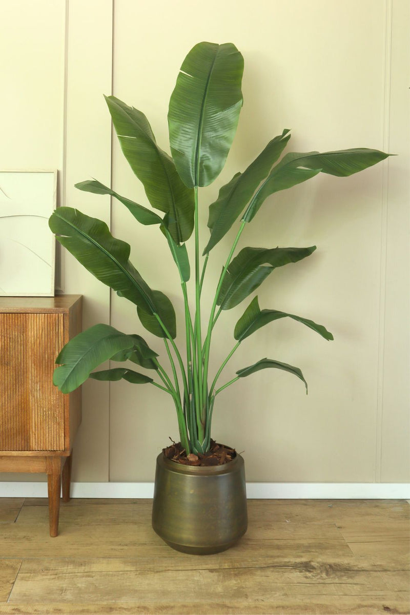 Photo d'ambiance du Strelitzia Artificielle 165cm