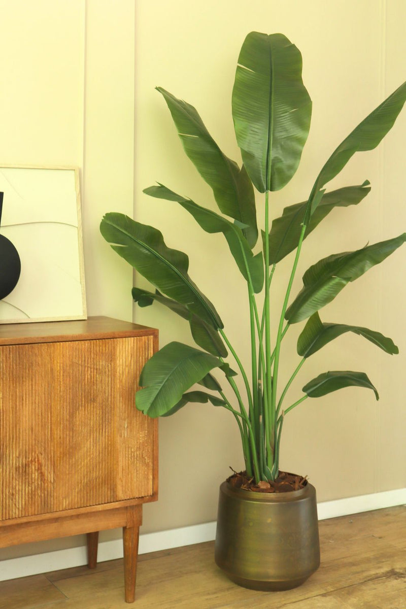 Photo d'ambiance du Strelitzia Artificielle 165cm