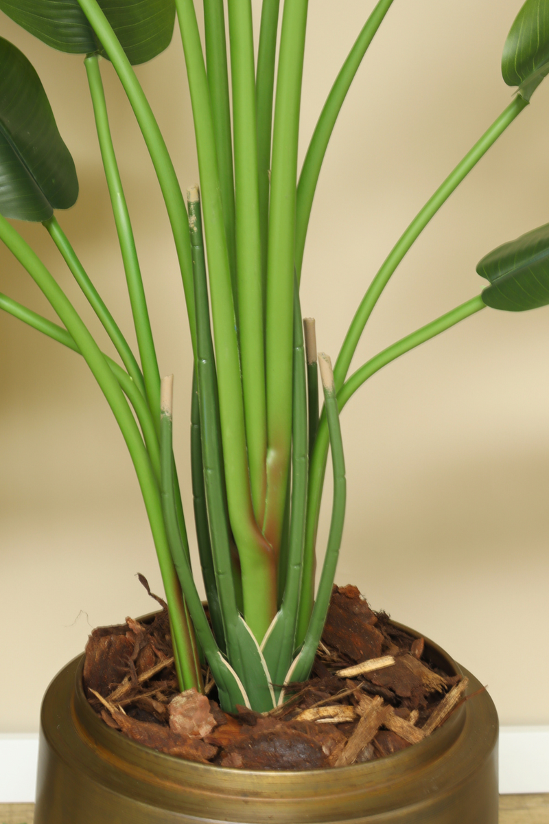 Détails du Strelitzia Artificielle 165cm