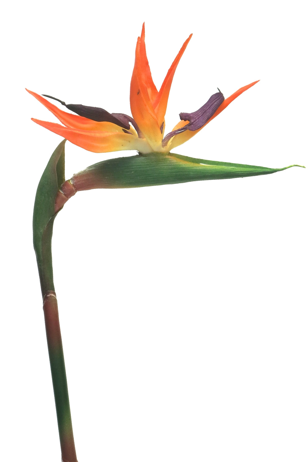 Strelitzia Fleur Artificielle 84cm