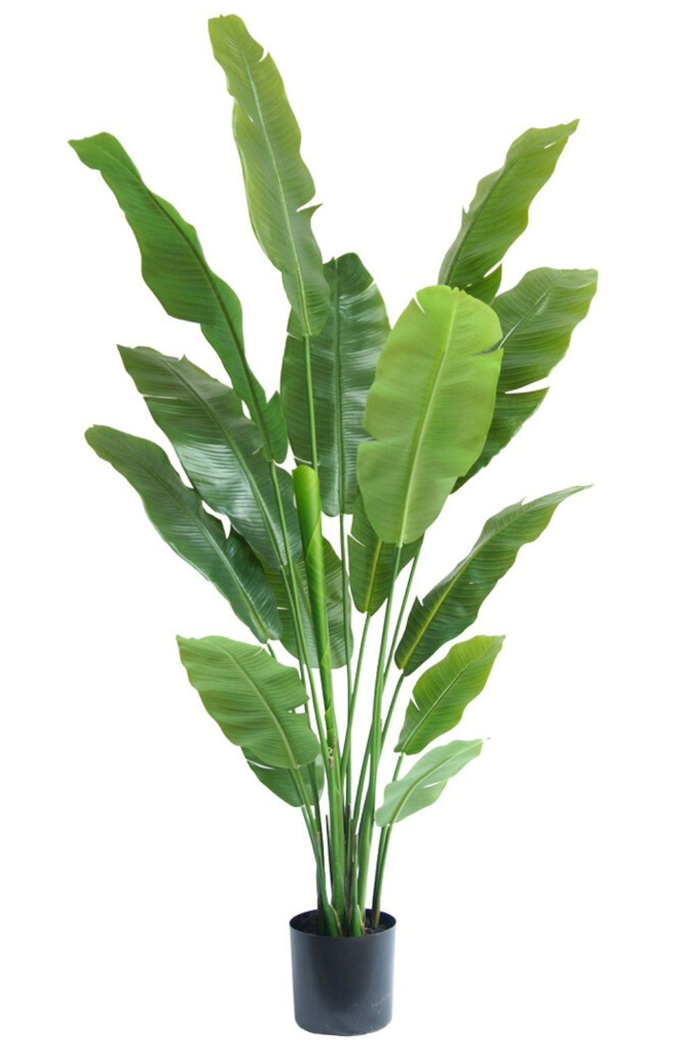 Plante Artificielle Strelitzia 180 cm Deluxe