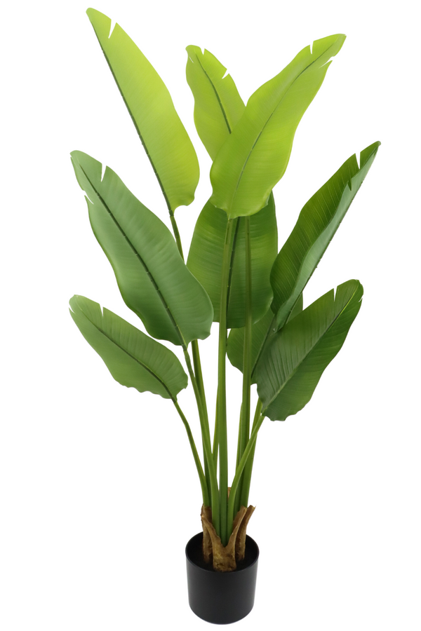 Strelitzia Artificielle 120cm