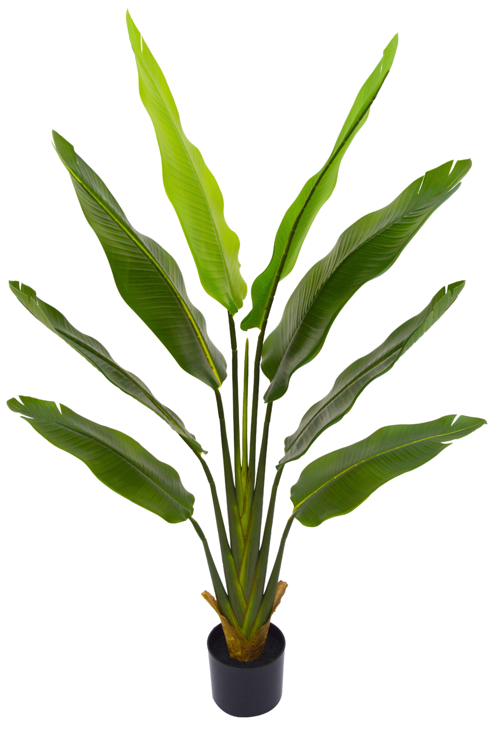Strelitzia Artificielle 140cm