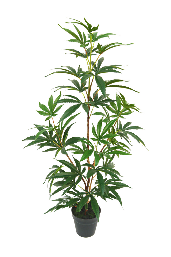 Aralia artificielle 100 cm