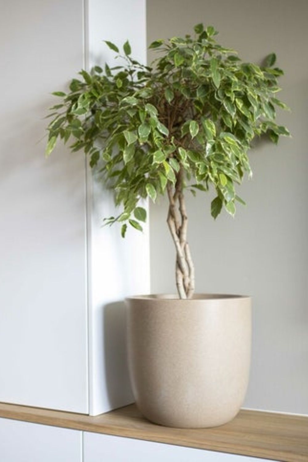 Pot de fleur Capi Smooth boule 35x34 Terrazzo