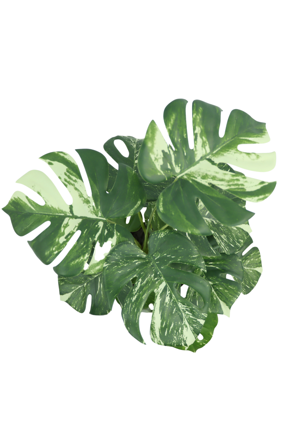 Monstera artificielle 40 cm