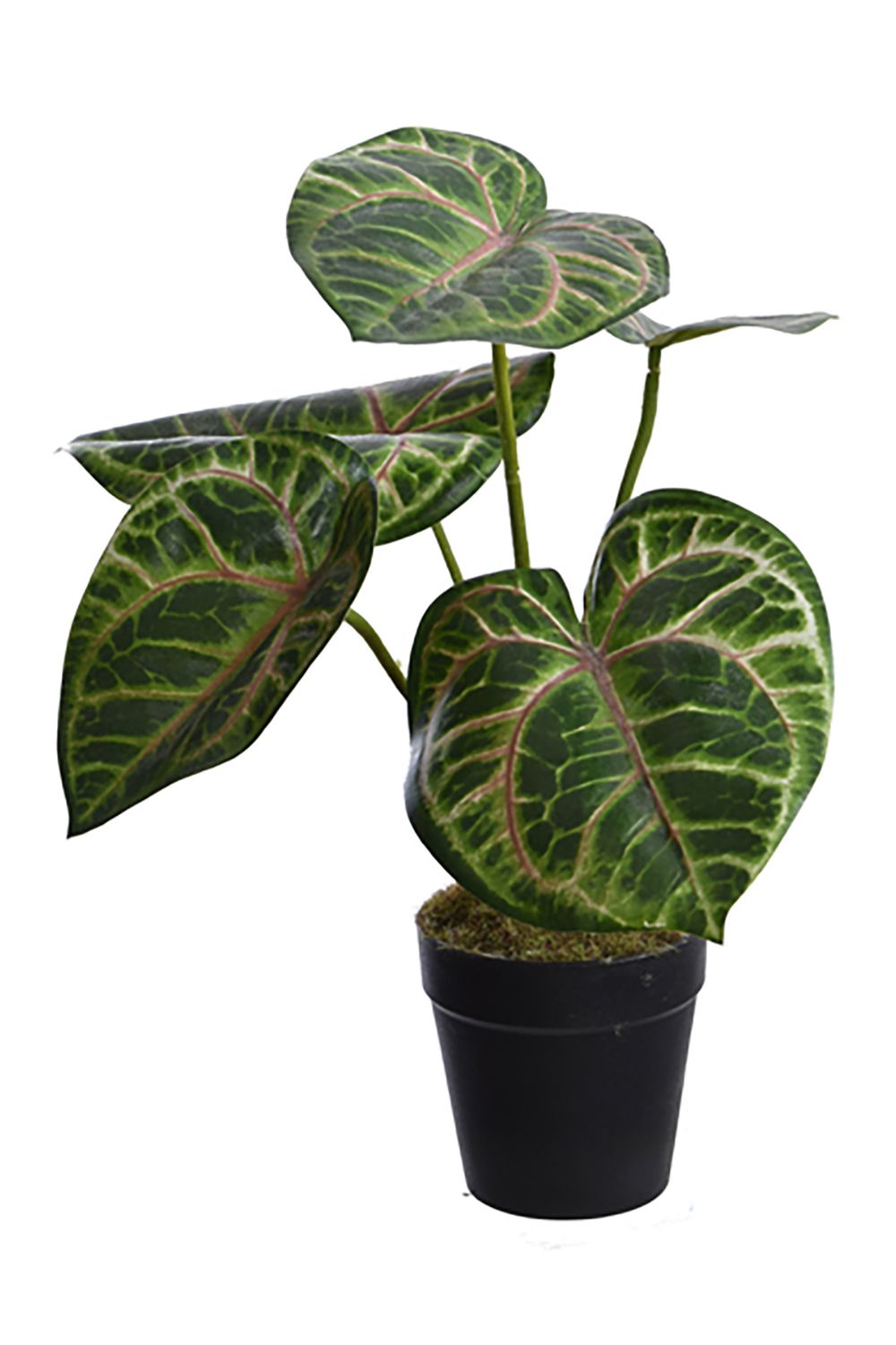 Plante Artificielle Calathea 30 cm