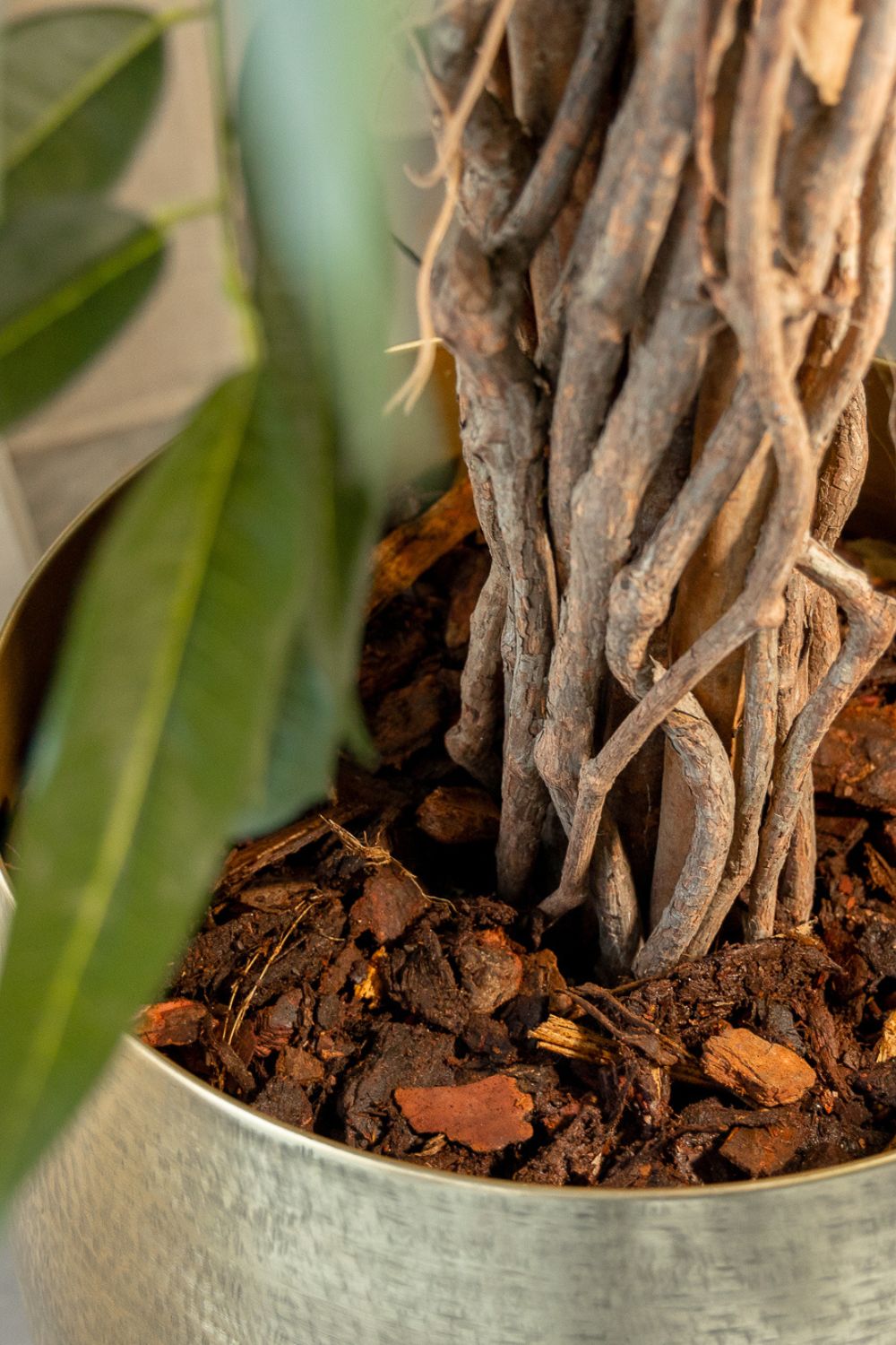 Plante Artificielle Longifolia 180 cm