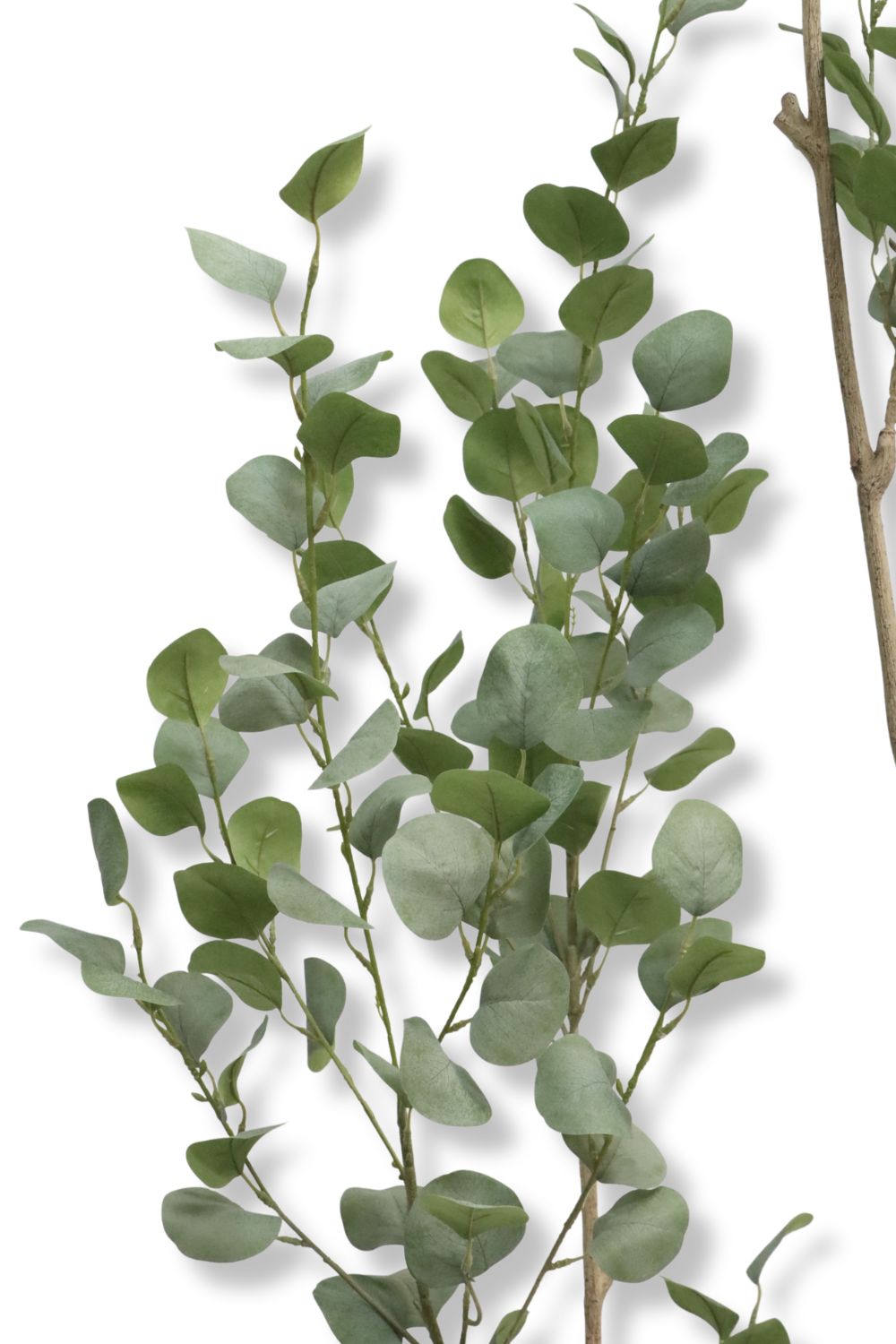 Détails des branches de l’Eucalyptus Artificiel 210cm