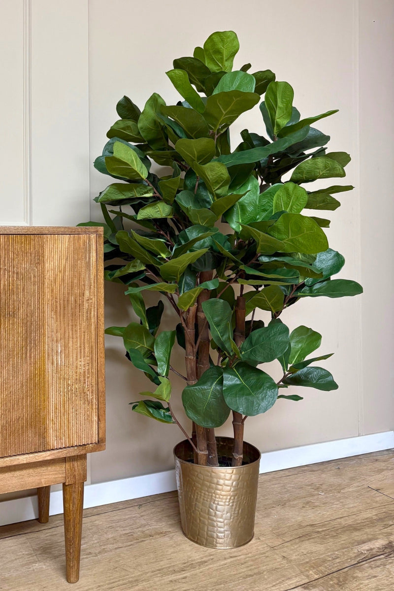 Photo d’ambiance du Ficus Artificiel 120cm