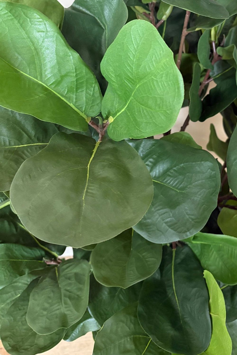 Feuille du Ficus Artificiel 120cm