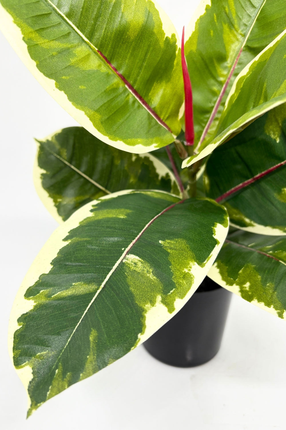 Plante artificielle Ficus Elastica 30 cm