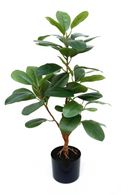 Ficus artificiel 80 cm