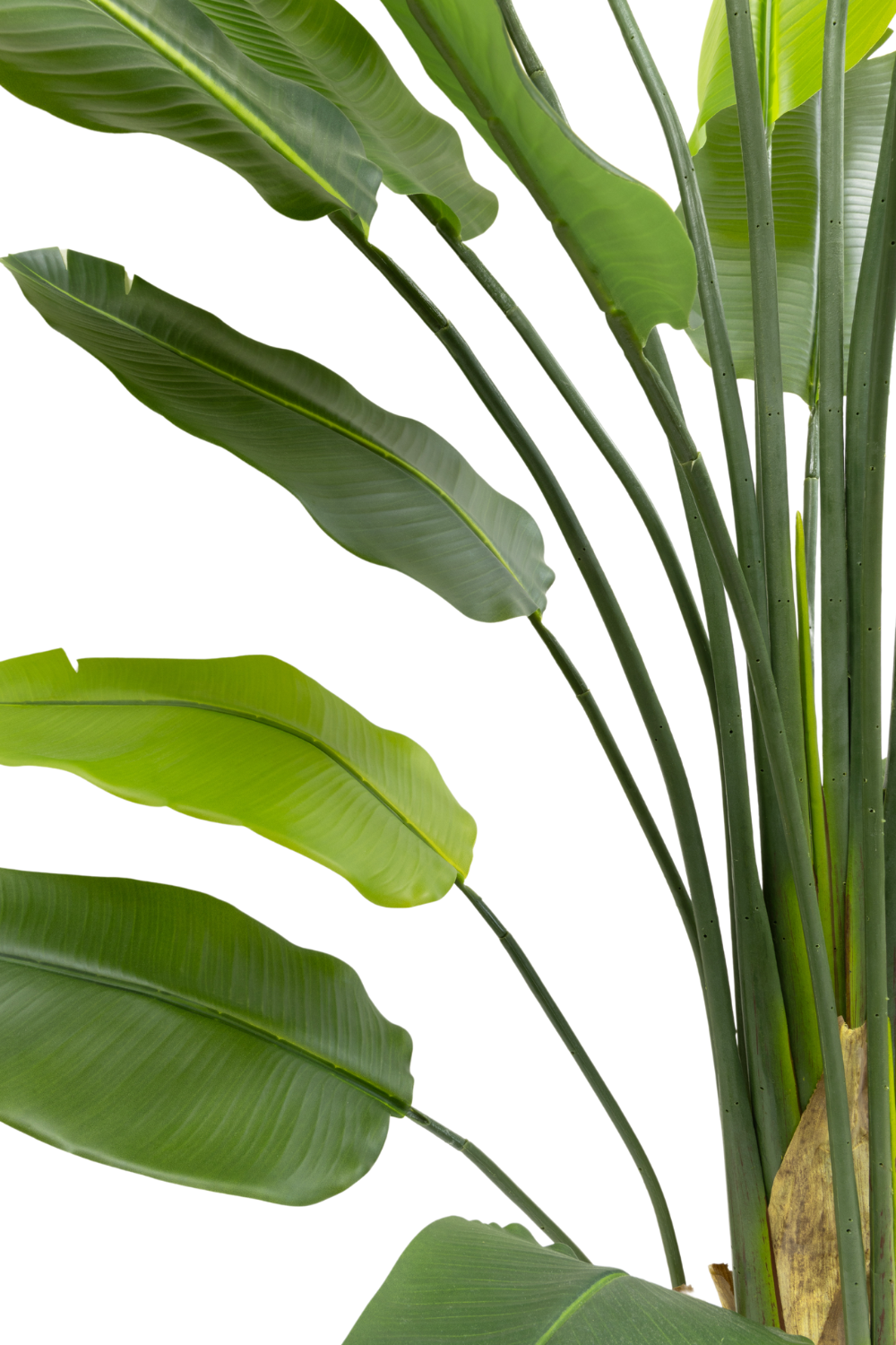 Strelitzia artificielle 210 cm