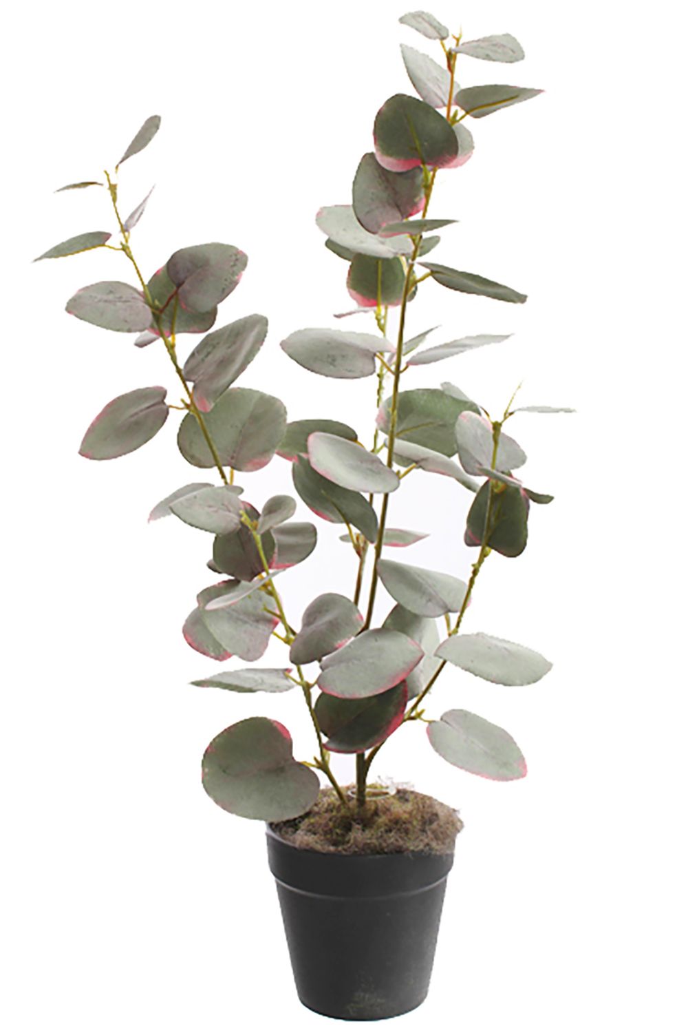 Eucalyptus artificiel 45 cm