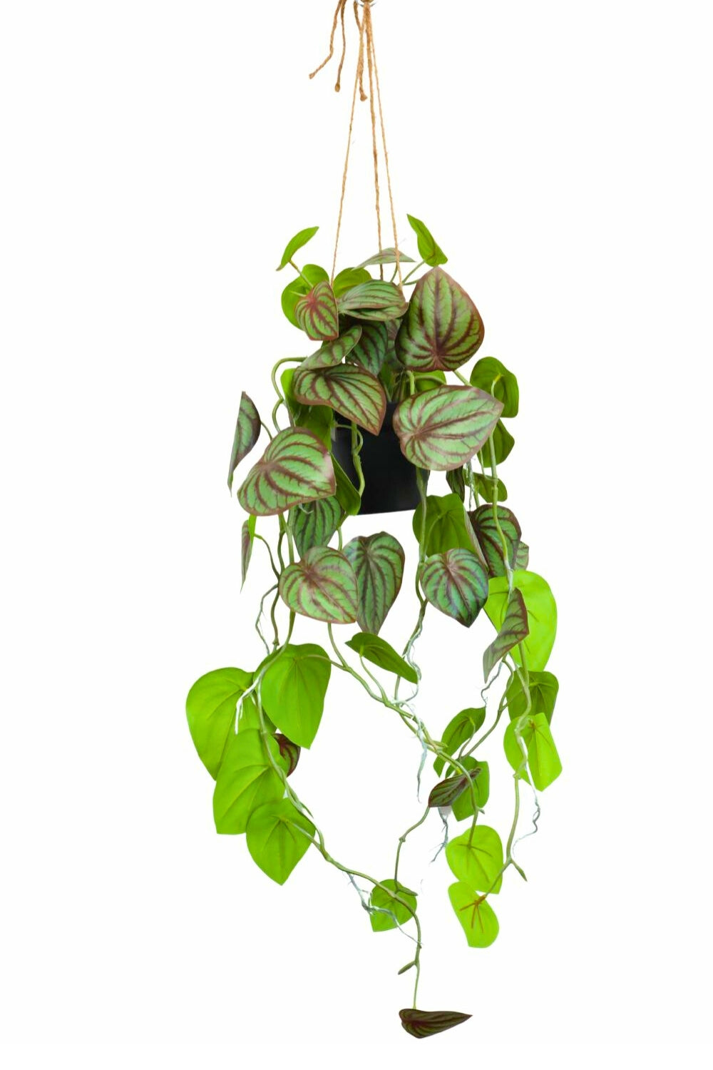 Plante Artificielle Suspendue Pothos 70 cm