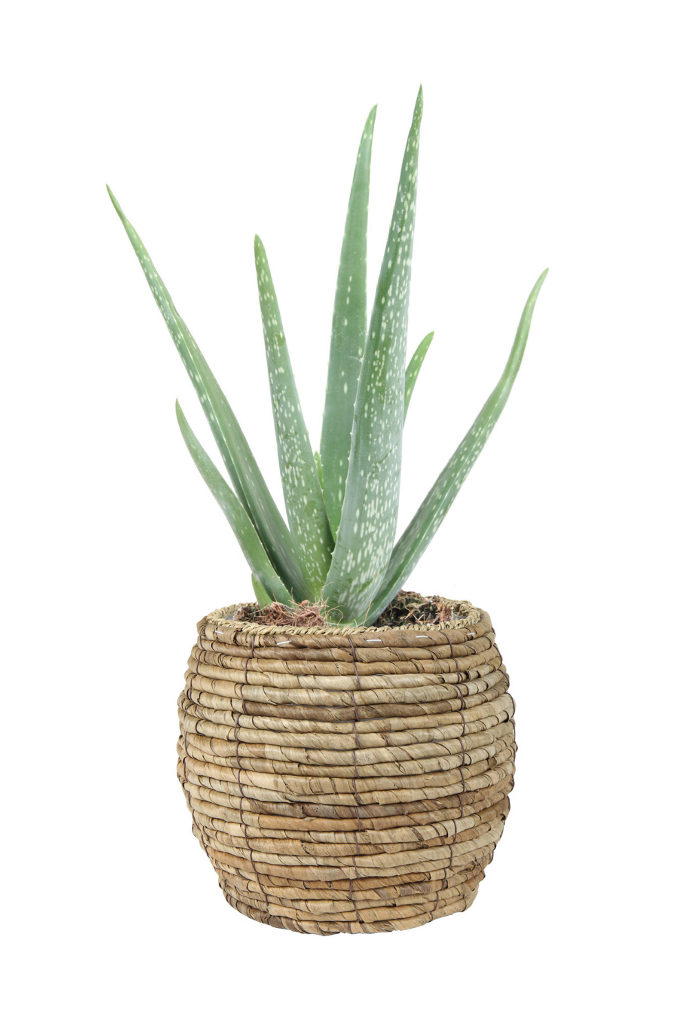 Pot de fleurs Lida marron 17Hx12Øx12Ø