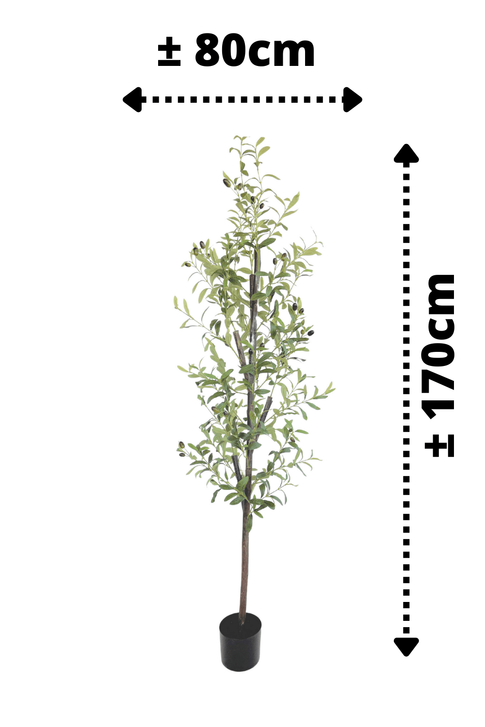 afmetingen Kunst Olijfboom 170cm