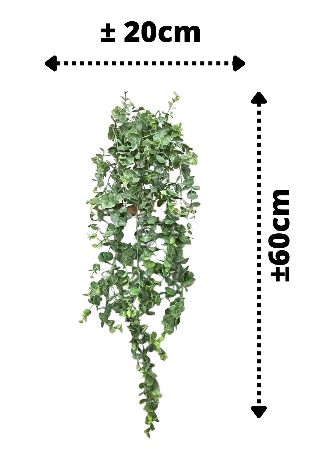 Plante Suspendue Eucalyptus Artificiel 60cm