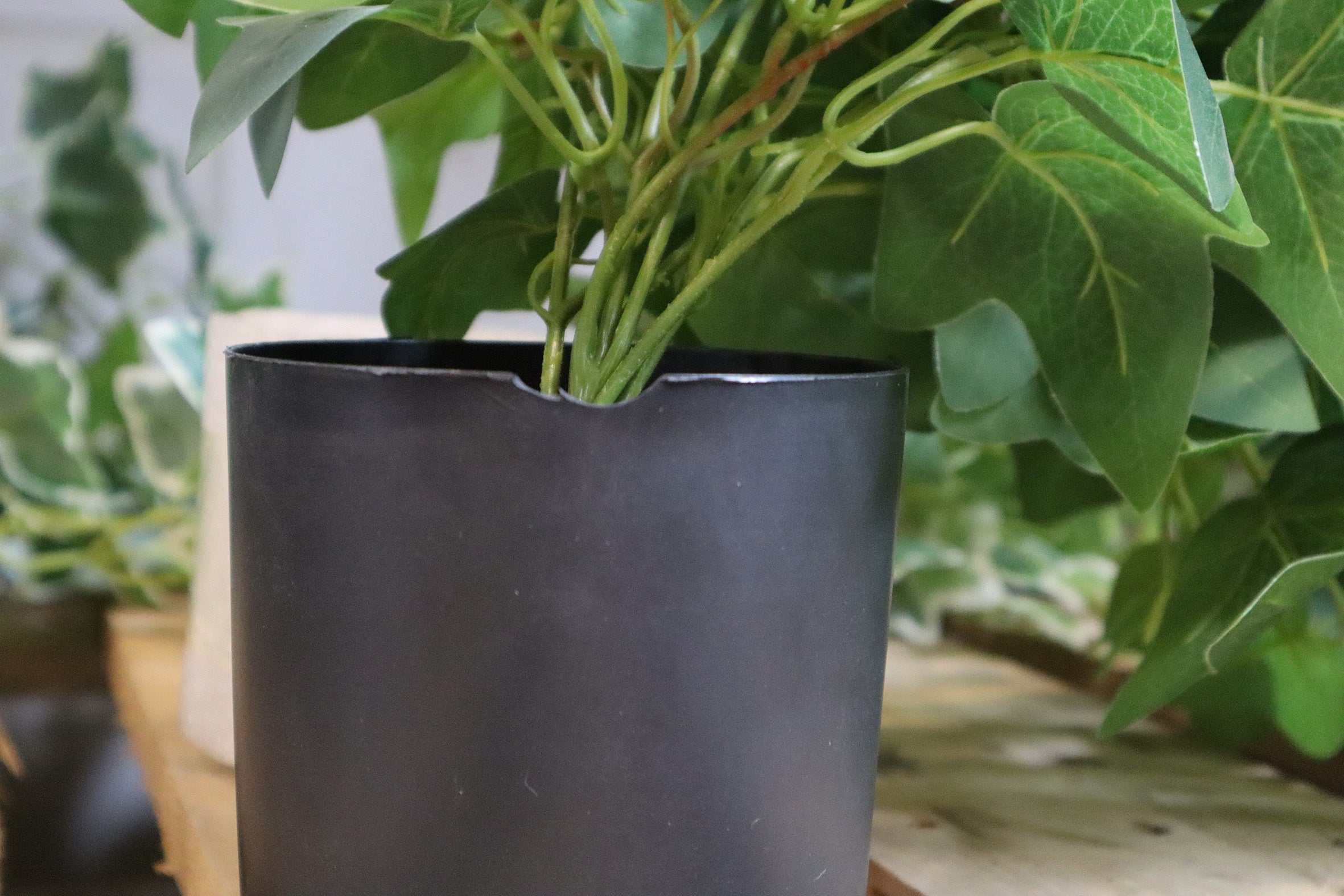 Plante suspendue artificielle Hedera