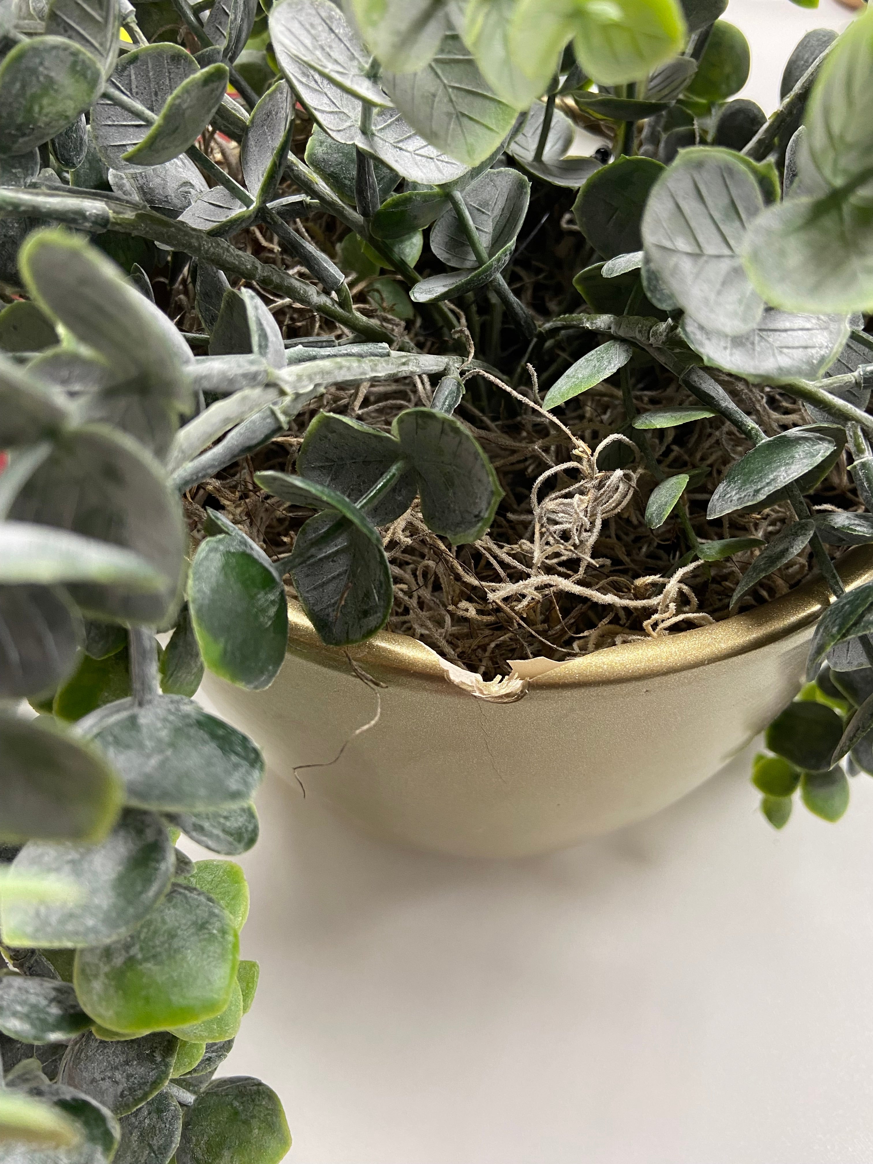 Eucalyptus artificiel à suspendre en pot doré 75cm