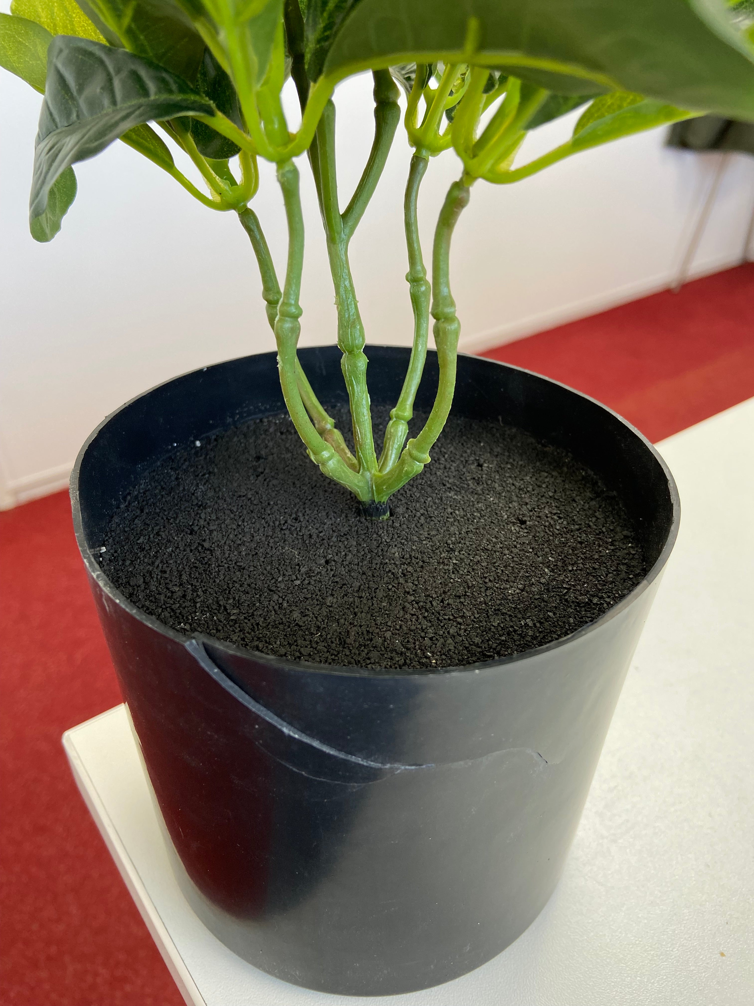 Plante artificielle Schefflera 30cm